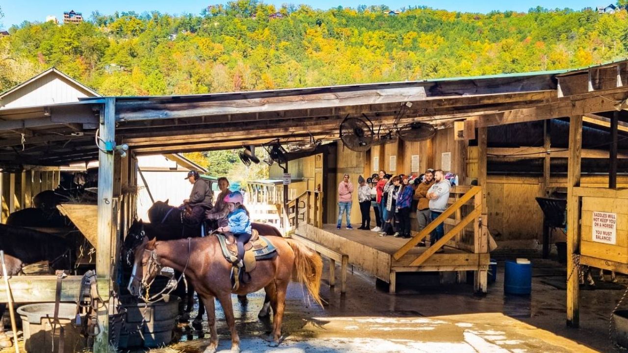 Find Tranquility and Adventure at Big Rock Dude Ranch in Pigeon Forge