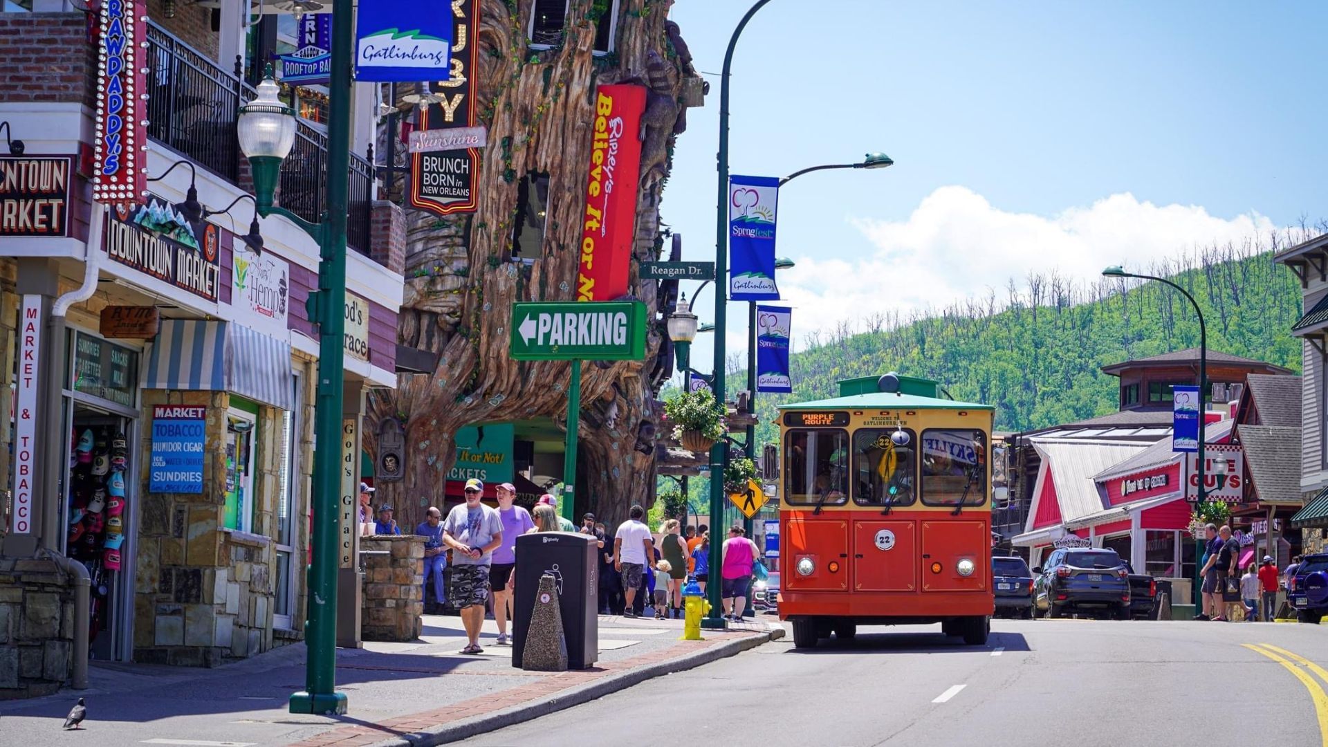 Gatlinburg Trolley