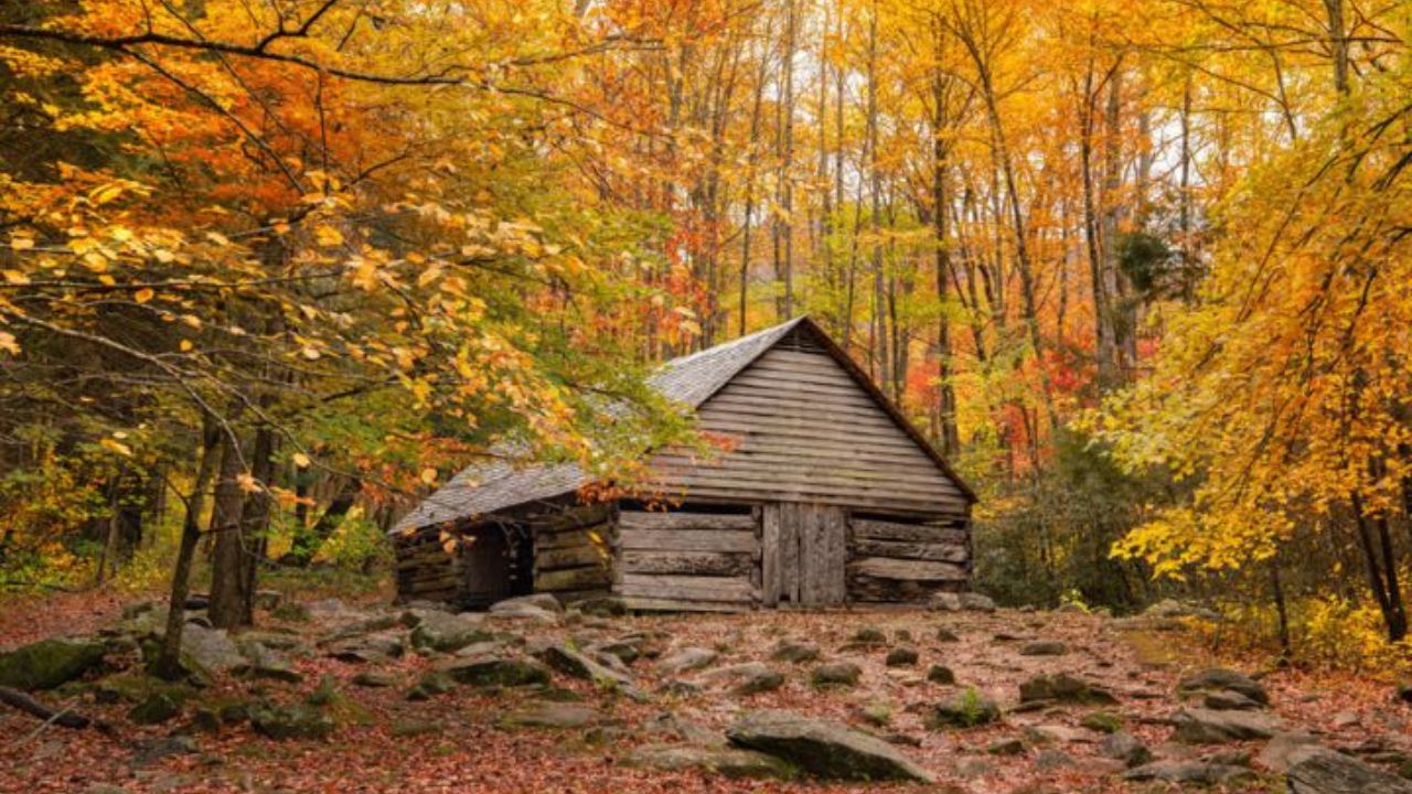 Gatlinburg Fall Color Forecast