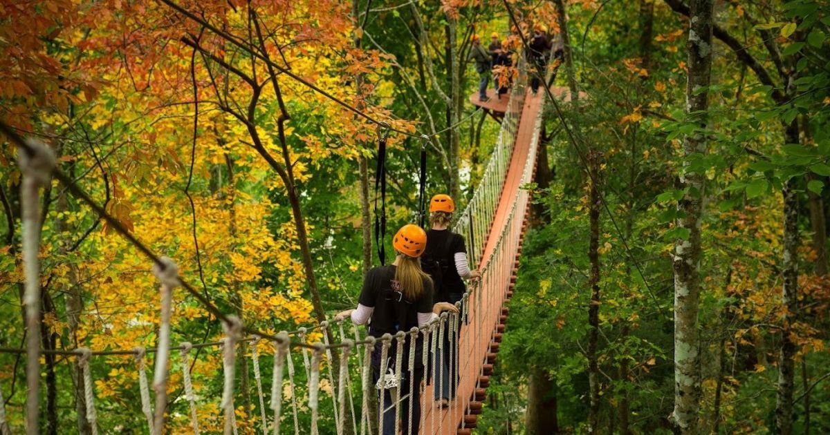 The 5 Best Gatlinburg Zipline Courses