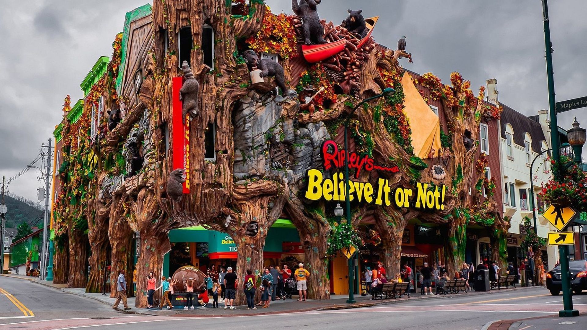 Ripley's Believe It or Not!