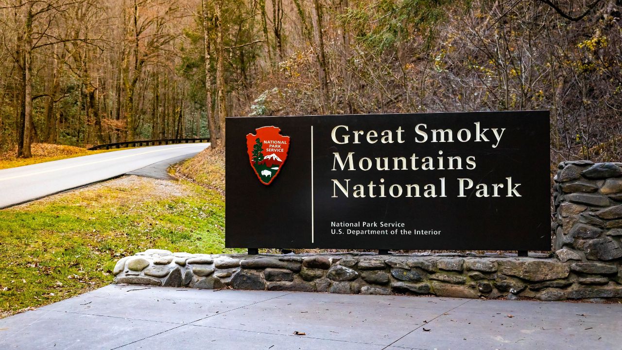 Top 5 Cabins Near the Great Smoky Mountains National Park