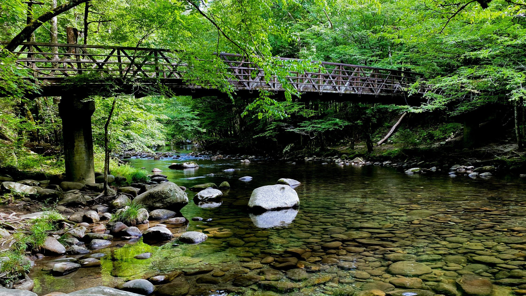 The Gatlinburg Trail