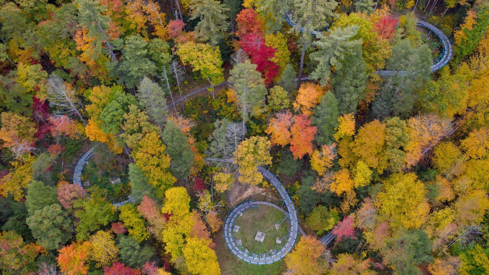 Moonshine Mountain Coaster