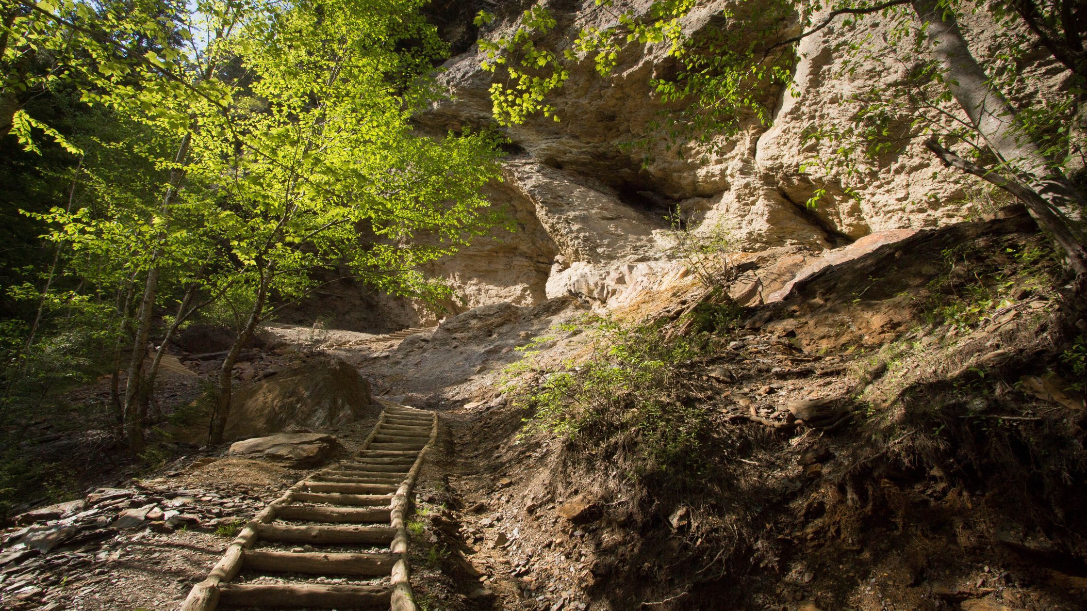 Alum Cave