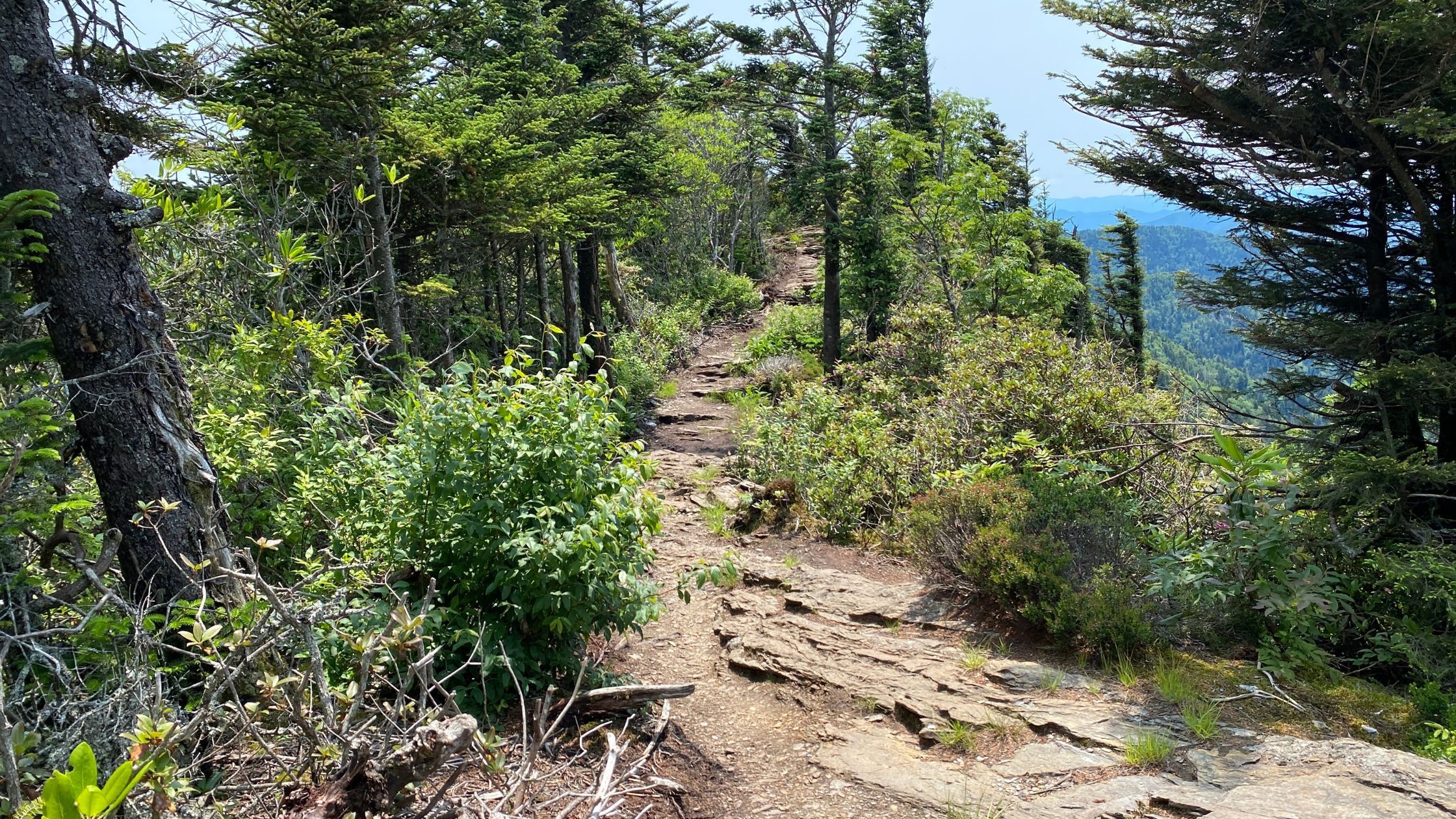 Boulevard Trail