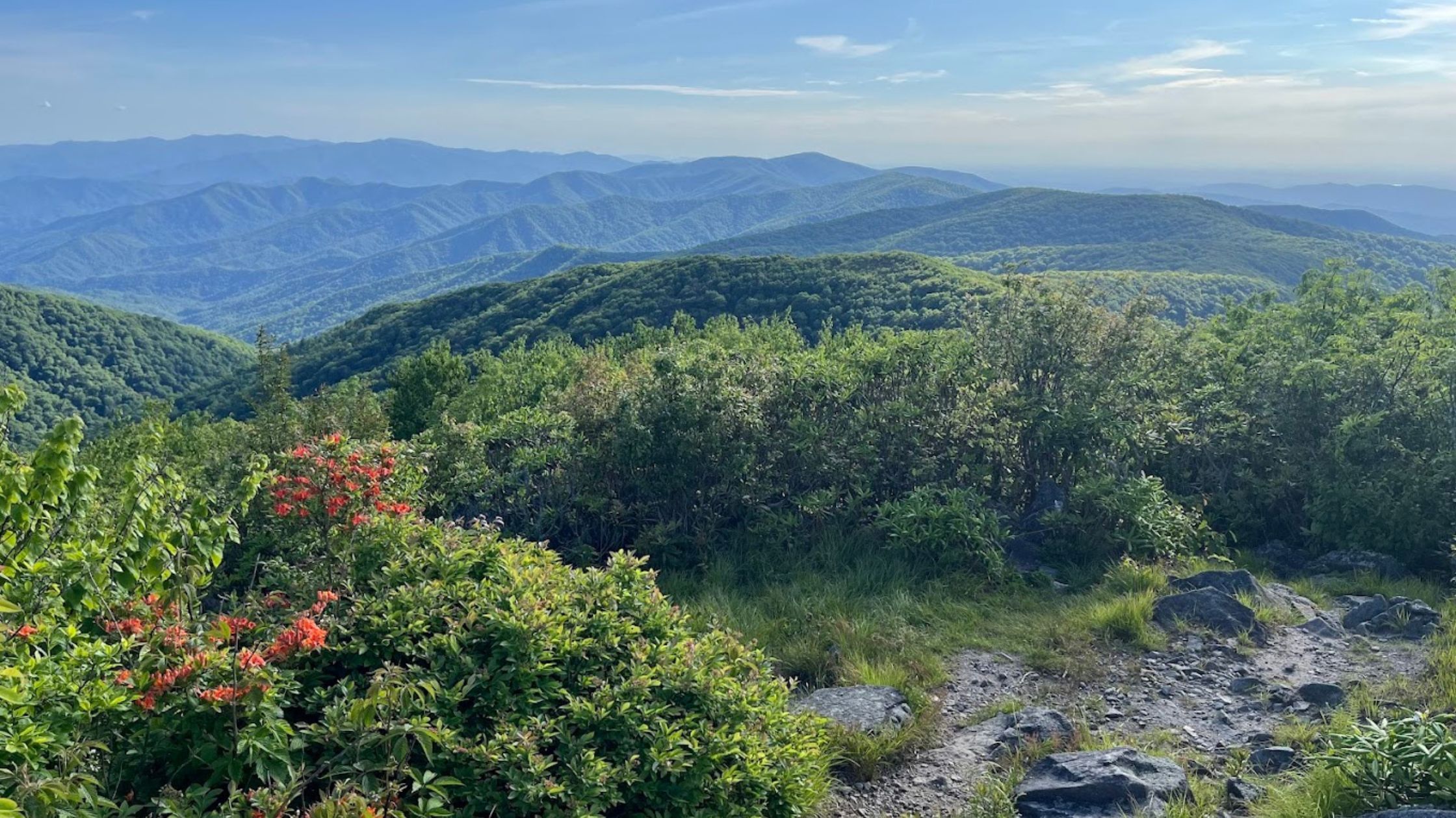 Rocky Top Trail