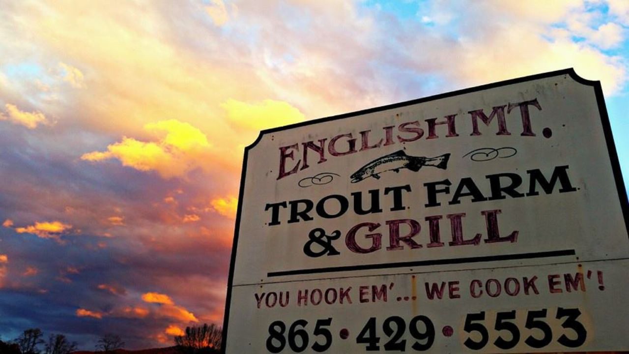 One of a Kind Dining at the English Mountain Trout Farm & Grill