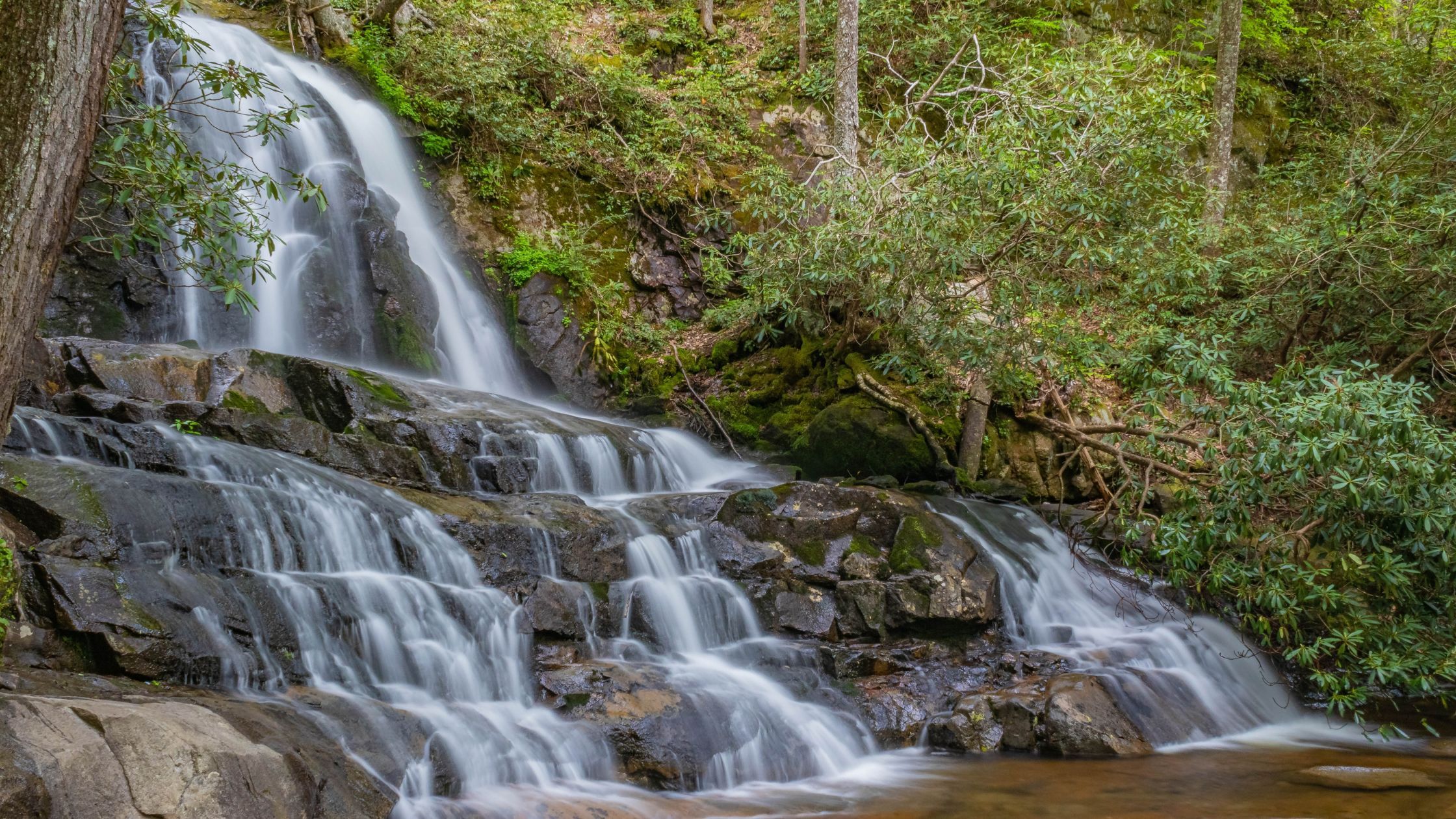 Laurel Falls