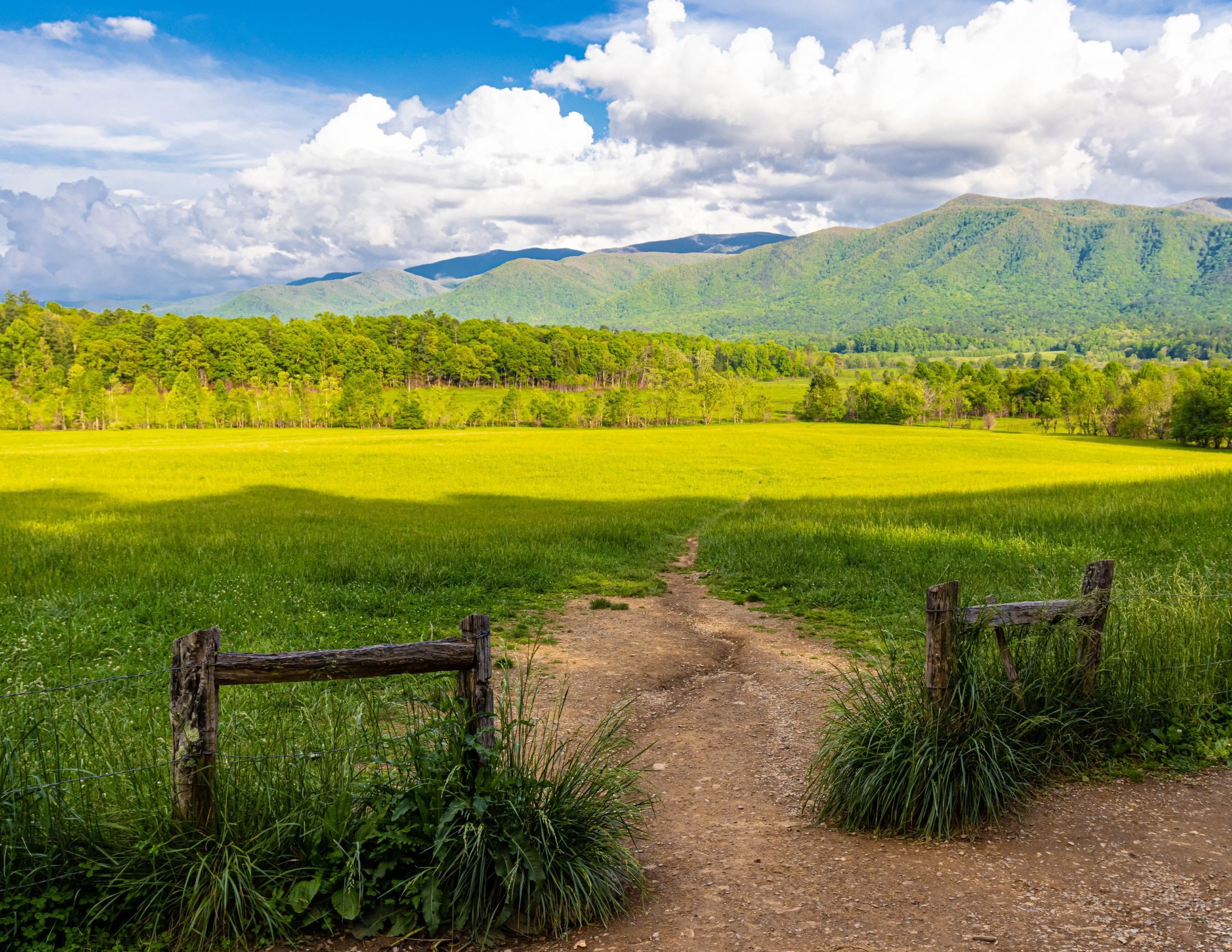 Cades Cove