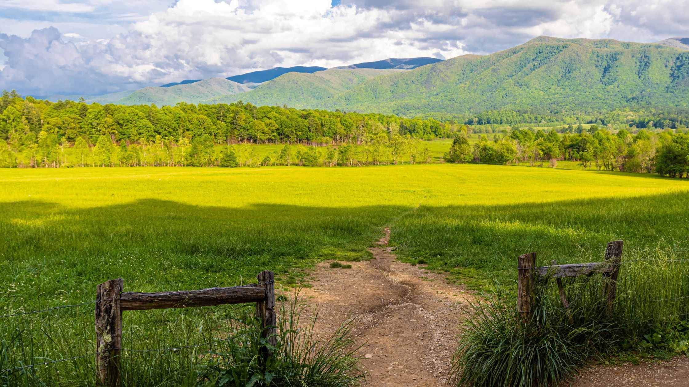 Cades Cove Nature Trail