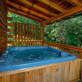 Image for Thing To Do Luna Resort Cabin Rentals