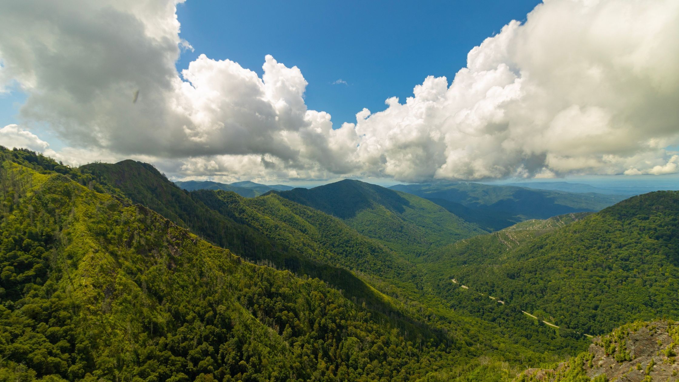 Chimney Tops