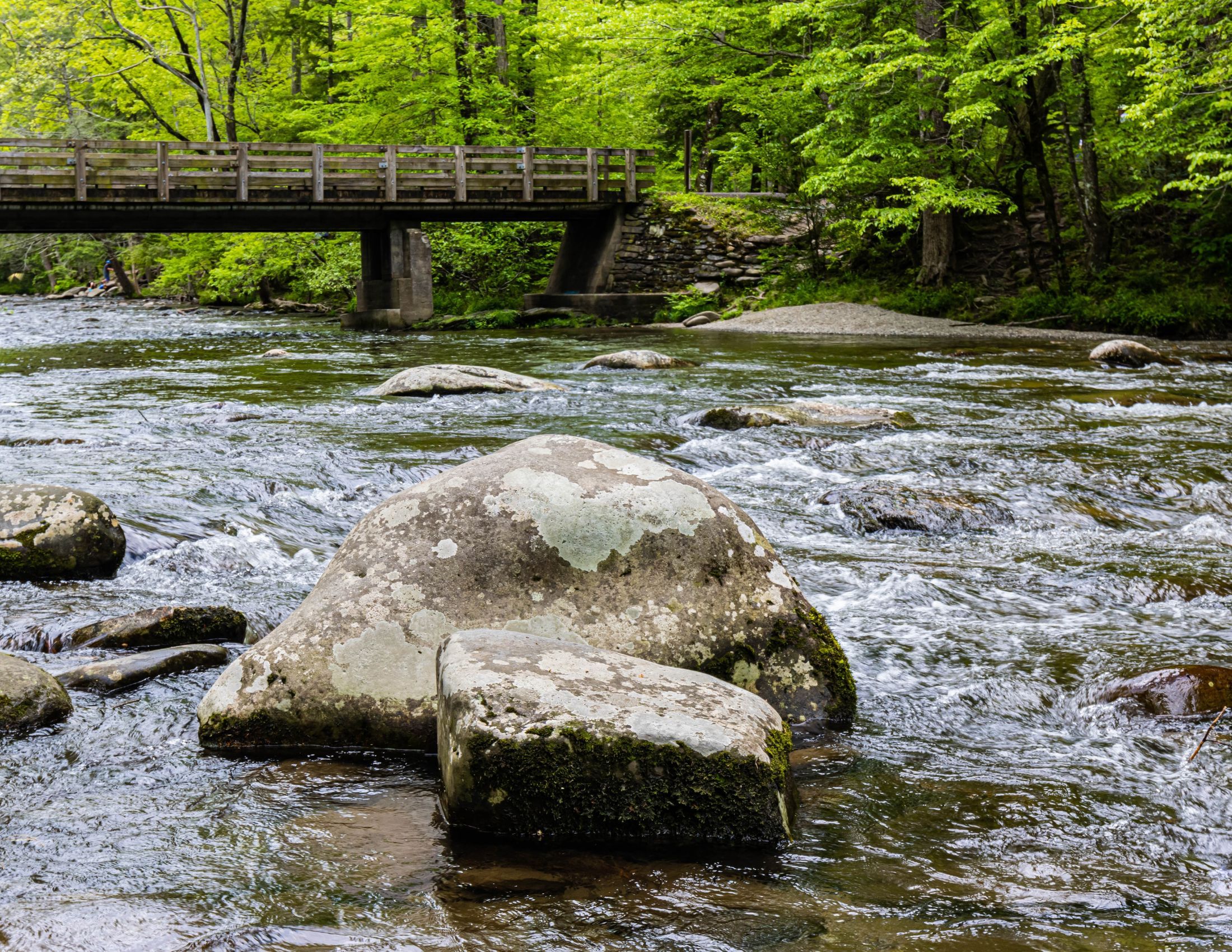 Best Picnic Spots in the Great Smoky Mountains: Scenic Settings for a Perfect Meal
