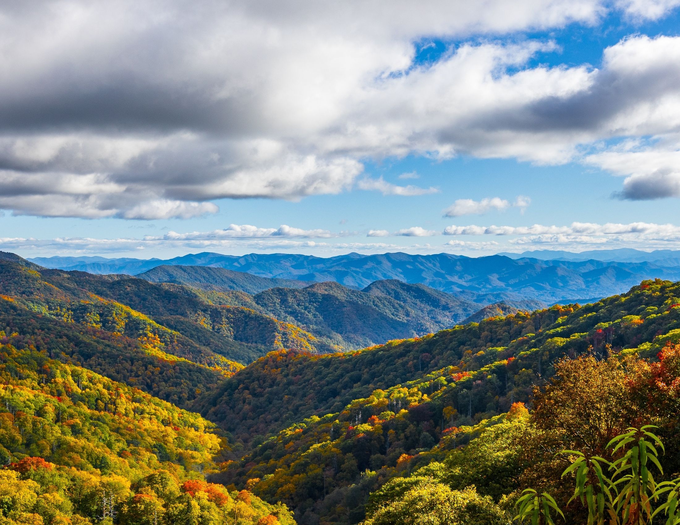 Fall in the Great Smoky Mountains: Experience the Season’s Splendor