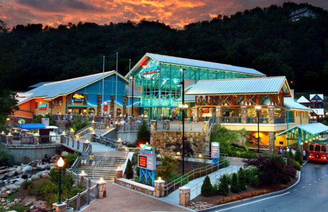 Image for Thing To Do Ripley's Aquarium