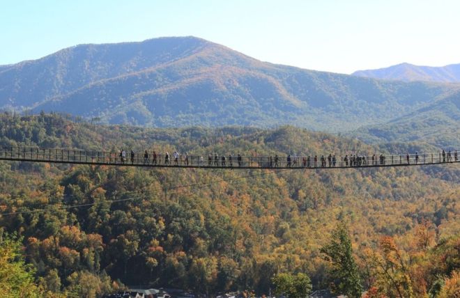 Image for Thing To Do Mountain Adventures: Thrilling Rides and Attractions for Family Fun in Gatlinburg