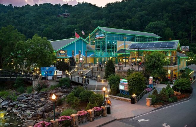Image for Thing To Do Top 9 Family Activities Near Gatlinburg Cabin Rentals