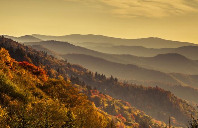 Image for Thing To Do Fall Experiences in the Smoky Mountains