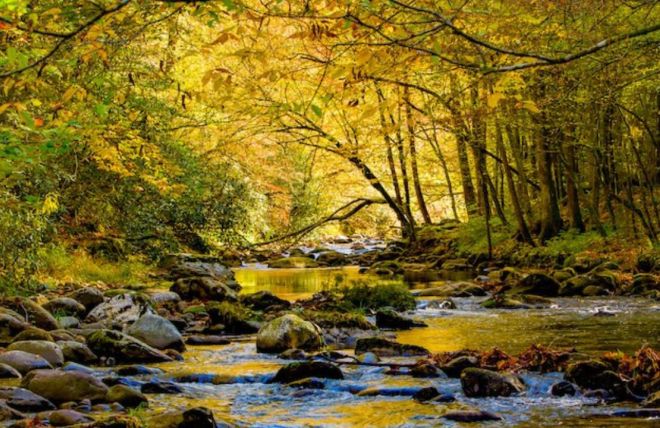 Image for Thing To Do The 5 Best Places to See Beautiful Fall Foliage in the Smoky Mountains