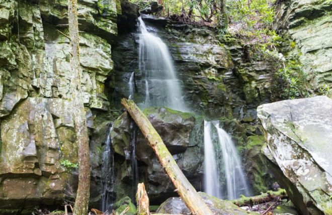 Image for Thing To Do Baskins Creek Falls
