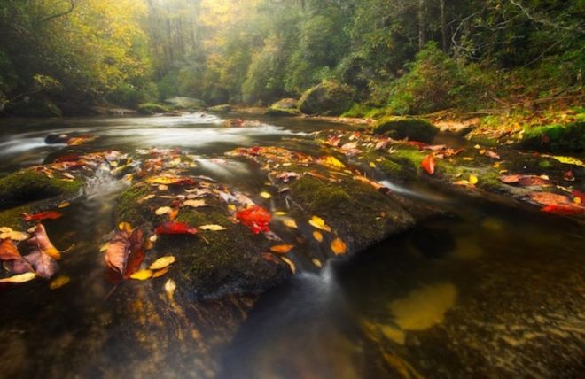 Image for Thing To Do Top 6 Reasons Families Love Visiting the Smoky Mountains in the Fall
