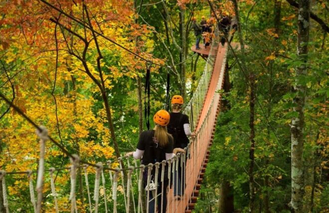 Image for Thing To Do The 5 Best Gatlinburg Zipline Courses