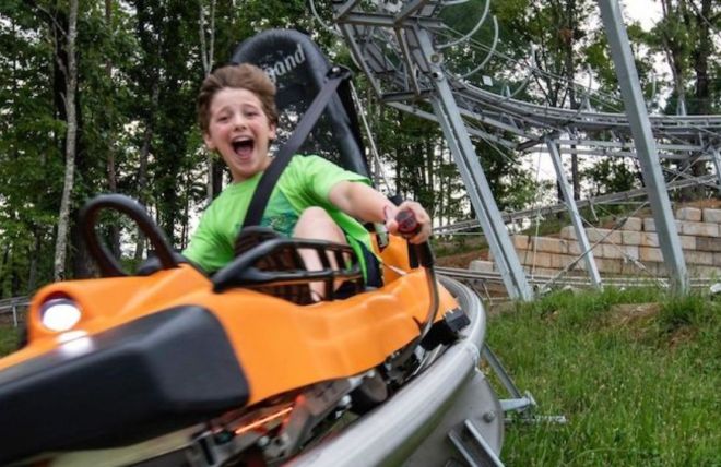 Image for Thing To Do Top 4 Fastest Alpine Coasters in Pigeon Forge