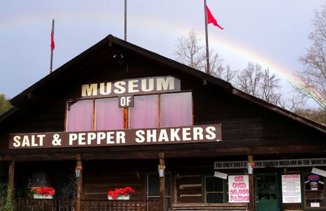 Image for Thing To Do Salt and Pepper Shaker Museum