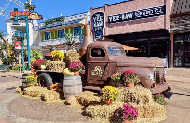 Image for Thing To Do 5 Reasons Why Autumn is the Best Time to Visit Pigeon Forge