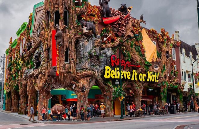 Image for Thing To Do Ripley's Believe It or Not!