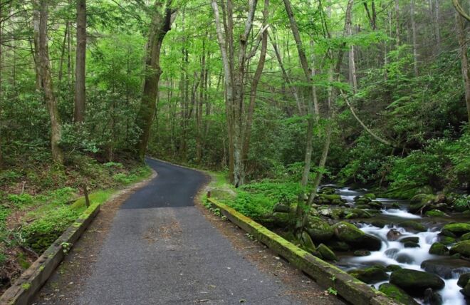 Image for Thing To Do Roaring Fork Motor Nature Trail