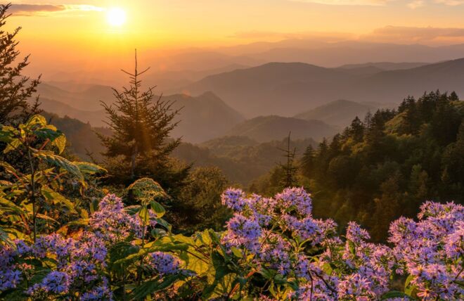 Image for Thing To Do Sunsets in the Smoky Mountains