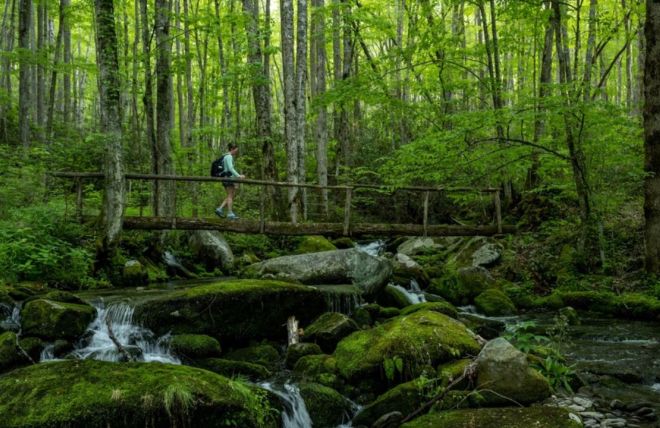Image for Thing To Do Hidden Treasures: Lesser-Visited and Overlooked Areas of the Great Smoky Mountains National Park