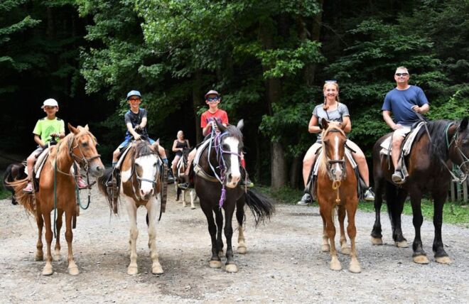 Image for Thing To Do Top 4 Places to Go Horseback Riding in Gatlinburg