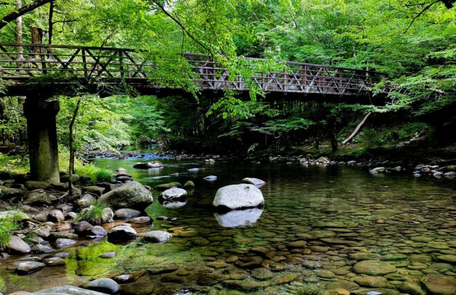 Image for Thing To Do The Gatlinburg Trail