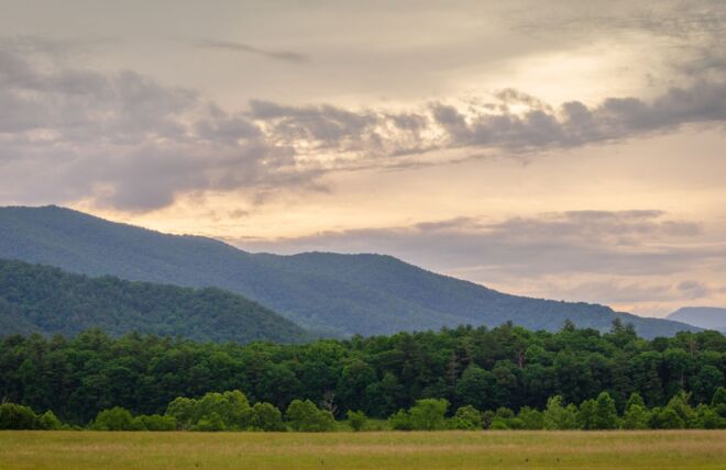 Image for Thing To Do Rich Mountain Loop