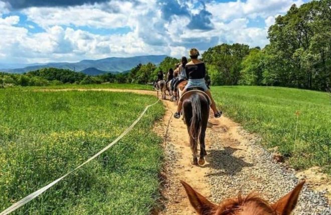 Image for Thing To Do Top 5 Reasons To Go Horseback Riding in Pigeon Forge