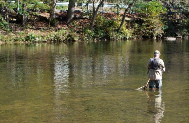 Image for Thing To Do Fishing Fanatics: Cabins Near the Best Fishing Spots in Gatlinburg