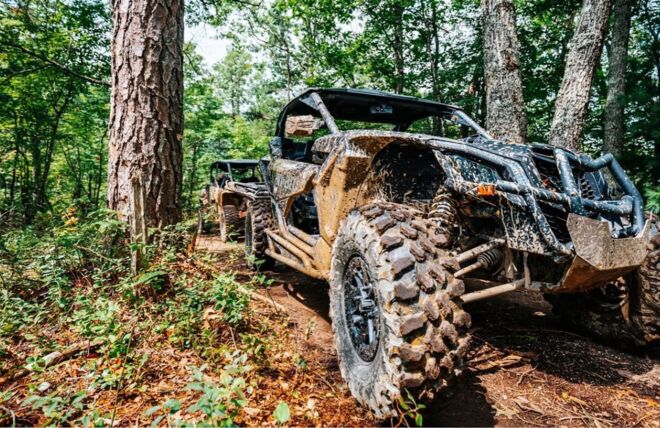 Image for Thing To Do WildSide is the Baddest Adventure Park in Pigeon Forge
