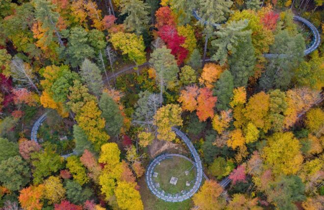 Image for Thing To Do Moonshine Mountain Coaster