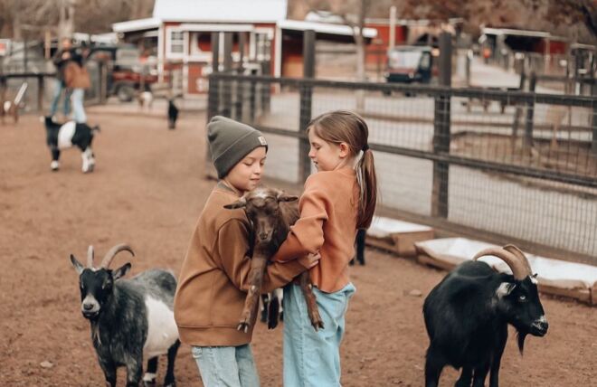 Image for Thing To Do 3 of the Most Popular Zoos in the Smoky Mountains
