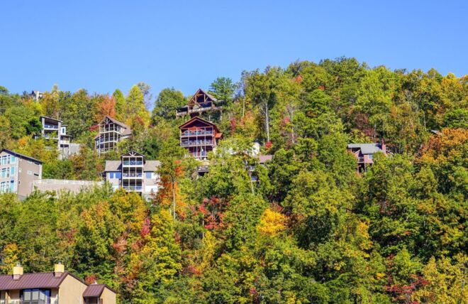 Image for Thing To Do Gatlinburg Fall Color Forecast