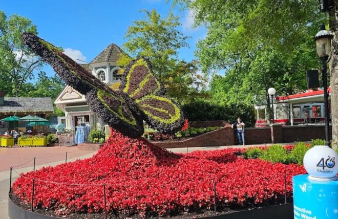 Image for Thing To Do How to Have a Fun Day at Dollywood Without Going on Any Rides