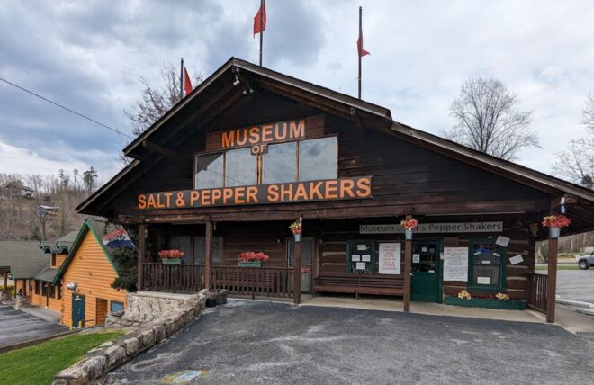 Image for Thing To Do Salt and Pepper Shaker Museum