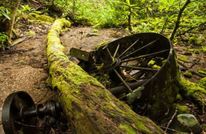 Image for Thing To Do 6 Secret Treasures in the Great Smoky Mountains National Park