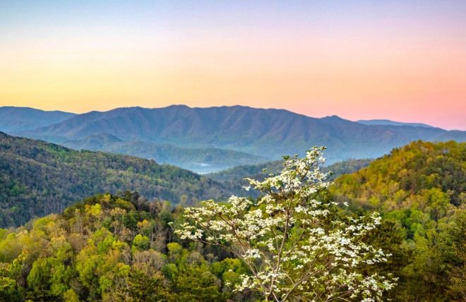 Image for Thing To Do Top 9 Spring Activities to Do During Your Gatlinburg Cabin Rental Stay
