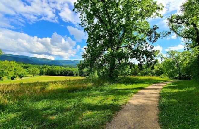 Image for Thing To Do Smoky Mountains: Destination for Nature Lovers