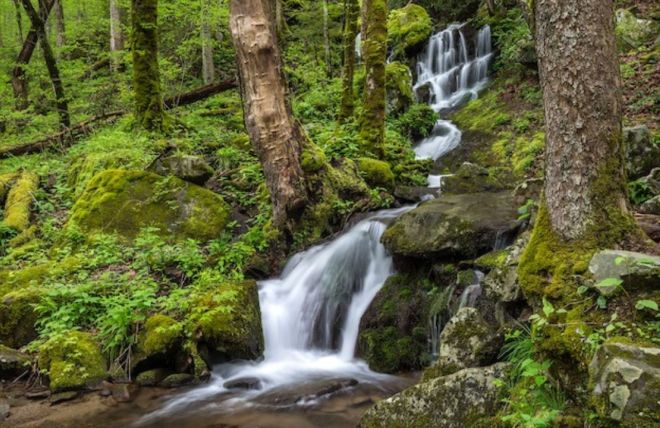 Image for Thing To Do The Most Beautiful Waterfalls in the Smoky Mountains, Ranked