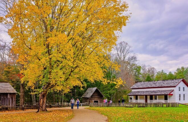 Image for Thing To Do Top 3 Best Ways to Experience the Smoky Mountains